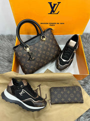 LV brown shoe bag model